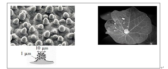 常州涂料網 常州涂料網