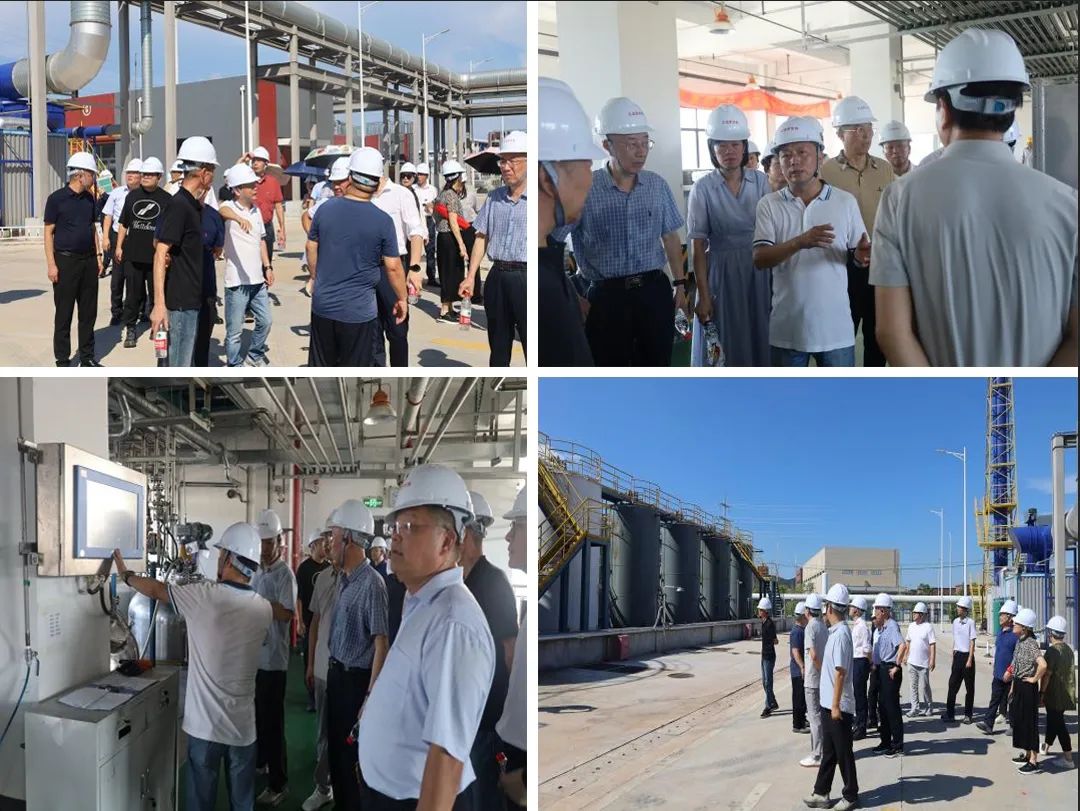 常州涂料網 常州涂料網